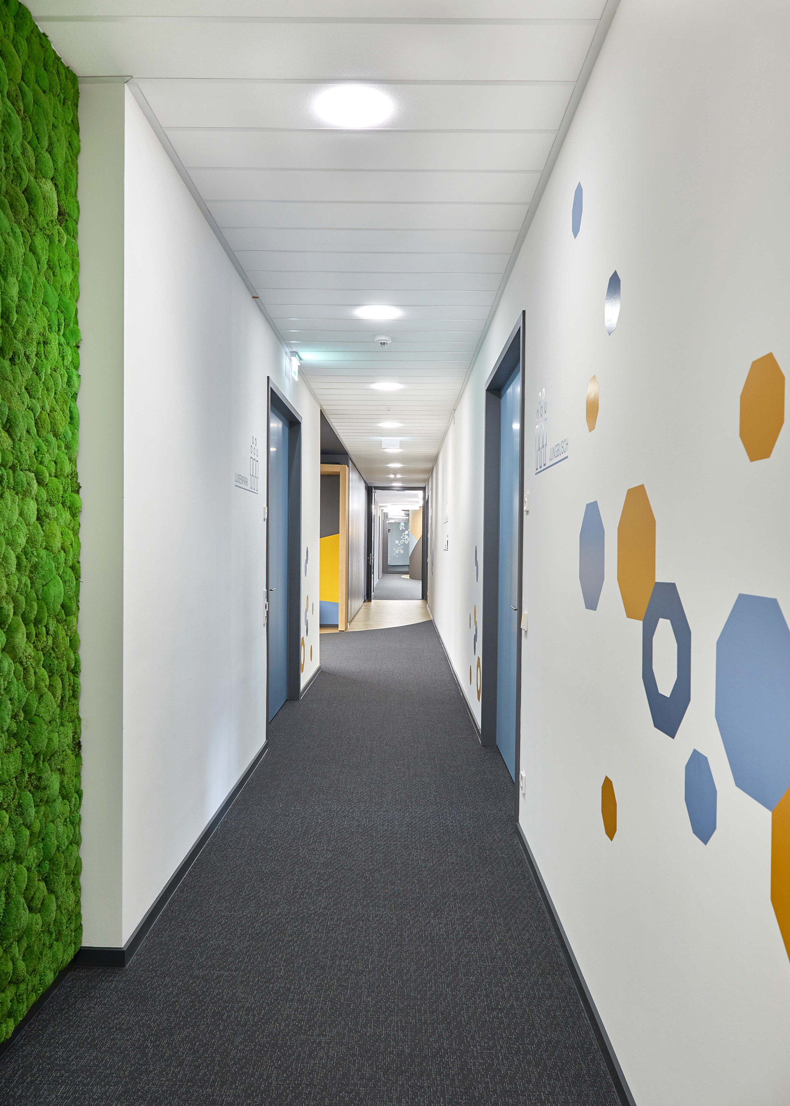 Foto: Moderner, heller Flur mit grauem Teppich, blauen Türen, Pflanzenwand und geometrischer Wandfolierung in gelb un blau.